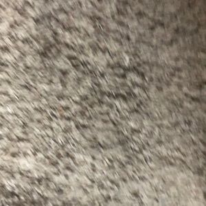 Meet your Posher, Bill